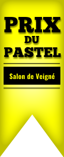 prix du jury au 40em salon de veigné
